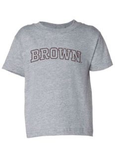 A gray t-shirt with brown on it.