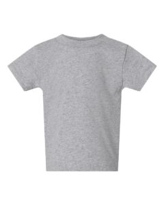 Grey short-sleeved t-shirt on white background.